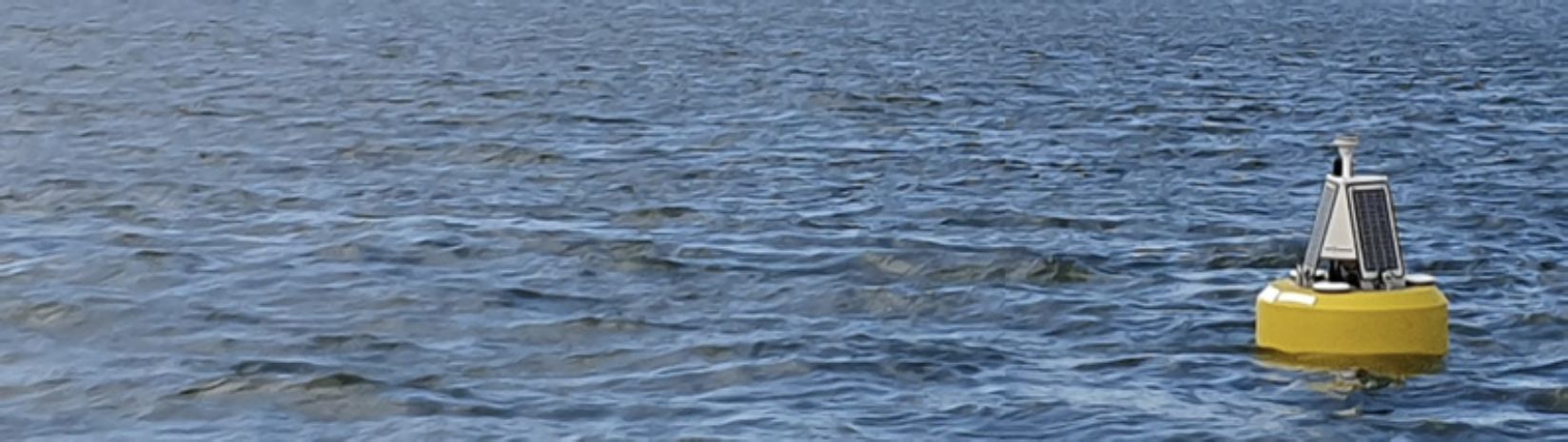 Buoy