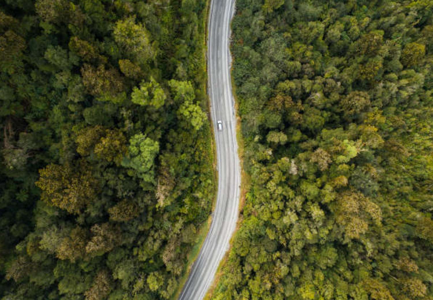Road